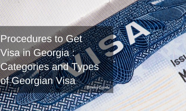 Procedures to Get Visa in Georgia : Categories and Types of Georgian Visa