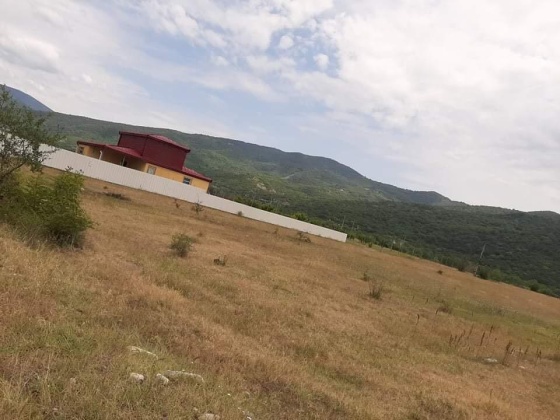 Address not available!, ,Land,For Sale,Aragvispiri,1499