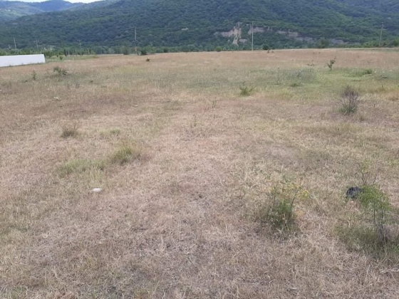 Address not available!, ,Land,For Sale,Aragvispiri,1499